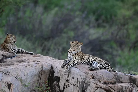Samburu 8